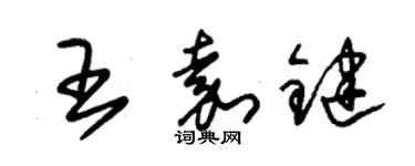 朱锡荣王嘉键草书个性签名怎么写