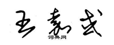 朱锡荣王嘉或草书个性签名怎么写