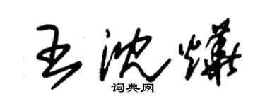 朱锡荣王沈烨草书个性签名怎么写