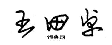 朱锡荣王田卓草书个性签名怎么写