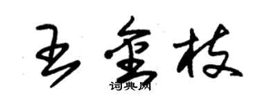 朱锡荣王金枝草书个性签名怎么写