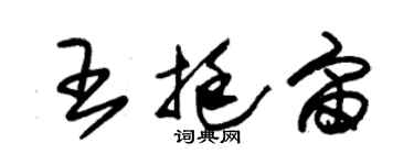 朱锡荣王挺宙草书个性签名怎么写