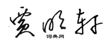 骆恒光贾明轩草书个性签名怎么写