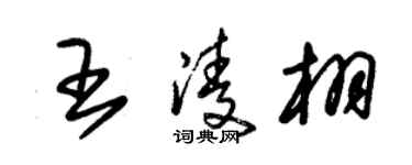 朱锡荣王凌栩草书个性签名怎么写