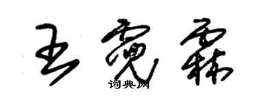 朱锡荣王霓霖草书个性签名怎么写