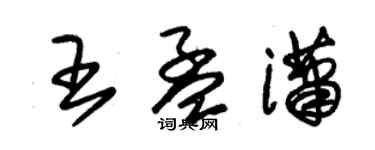 朱锡荣王孟潇草书个性签名怎么写