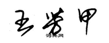 朱锡荣王芳甲草书个性签名怎么写