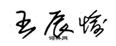 朱锡荣王辰愉草书个性签名怎么写