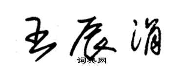 朱锡荣王辰涓草书个性签名怎么写