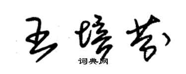 朱锡荣王培芬草书个性签名怎么写