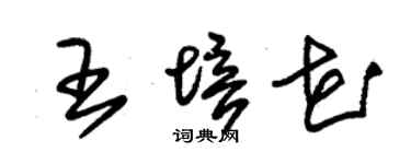 朱锡荣王培花草书个性签名怎么写