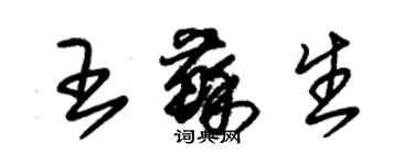 朱锡荣王苏生草书个性签名怎么写