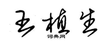 朱锡荣王植生草书个性签名怎么写