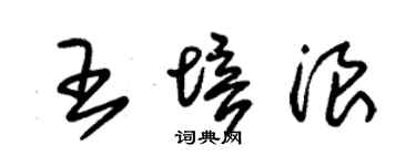 朱锡荣王培浪草书个性签名怎么写