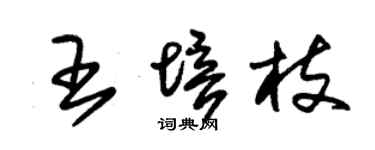 朱锡荣王培枝草书个性签名怎么写