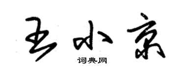 朱锡荣王小京草书个性签名怎么写