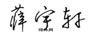 骆恒光薛宇轩草书个性签名怎么写