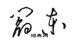 骆恒光阎东草书个性签名怎么写