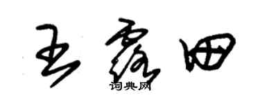 朱锡荣王露田草书个性签名怎么写
