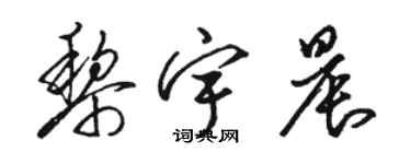 骆恒光黎宇晨草书个性签名怎么写
