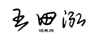 朱锡荣王田泓草书个性签名怎么写