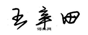 朱锡荣王辛田草书个性签名怎么写
