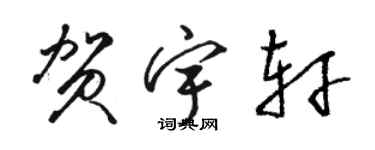 骆恒光贺宇轩草书个性签名怎么写