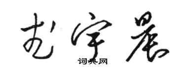 骆恒光武宇晨草书个性签名怎么写