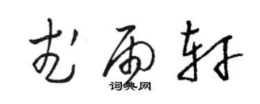 骆恒光武雨轩草书个性签名怎么写