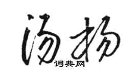 骆恒光汤杨草书个性签名怎么写