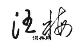 骆恒光汪梅草书个性签名怎么写