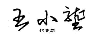 朱锡荣王小垄草书个性签名怎么写