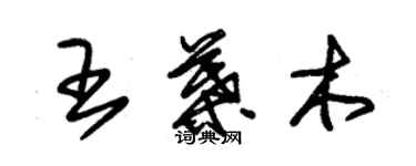 朱锡荣王叶木草书个性签名怎么写