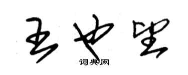 朱锡荣王也望草书个性签名怎么写