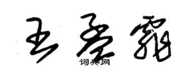 朱锡荣王孟霏草书个性签名怎么写