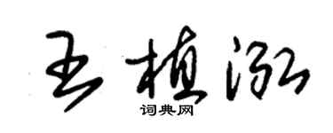 朱锡荣王植泓草书个性签名怎么写