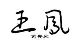 曾庆福王凤草书个性签名怎么写