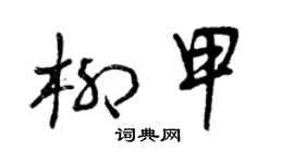 曾庆福柳甲草书个性签名怎么写