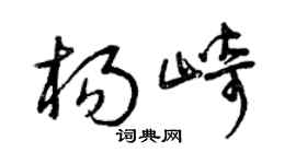 曾庆福杨崎草书个性签名怎么写