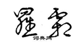 曾庆福罗霜草书个性签名怎么写
