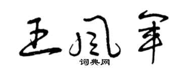 曾庆福王风军草书个性签名怎么写