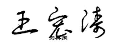曾庆福王宏涛草书个性签名怎么写