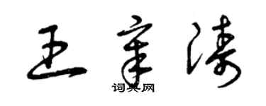 曾庆福王章涛草书个性签名怎么写