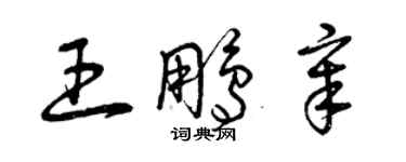 曾庆福王鹏章草书个性签名怎么写
