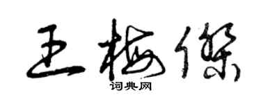 曾庆福王梅杰草书个性签名怎么写