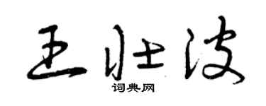 曾庆福王壮波草书个性签名怎么写