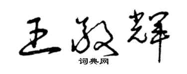 曾庆福王敬辉草书个性签名怎么写