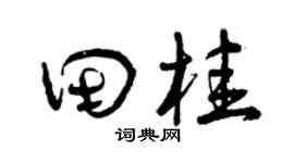 曾庆福田桂草书个性签名怎么写