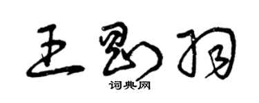 曾庆福王刚羽草书个性签名怎么写