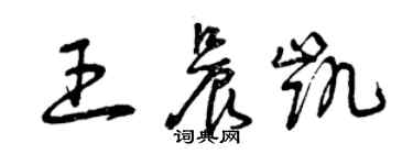 曾庆福王晨凯草书个性签名怎么写